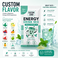 Poudre de mélange pour boisson énergisante à bas prix, saveur menthe fraîche, pour la concentration mentale, l'endurance, l'hydratation et l'équilibre, supplément, formule personnalisée OEM