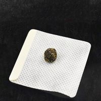 Livraison Gratuite Patchs Détox Naturels pour le Nombril à l'Armoise – Autocollants Abdominaux