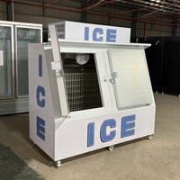 Congélateur vertical commercial à 2 portes, à température unique, pour glace en sac, avec bac de stockage, construction en acier inoxydable, isolation de 65 mm d'épaisseur