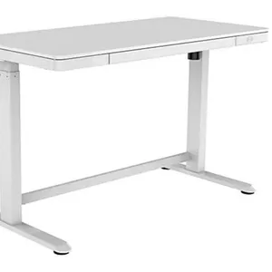 사무실 가구 테이블 호화스러운 유럽 디자인 전기 고도 조정가능한 책상