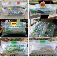 Grand sac d'oxygénation de poisson sac d'emballage d'expédition transportant des sacs gonflables épaississants pour poissons vivants