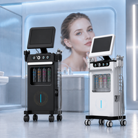 Appareil de soin du visage Hydra Dermabrasion 14 en 1, nettoyage en profondeur, lifting du visage, jet d'oxygène, soin du visage à l'eau, machine à bulles d'oxygène