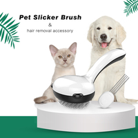 Brosse de toilettage pour poils de chat, accessoire d'épilation pour petit chien