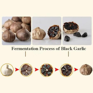 Yüksek kaliteli fermente siyah sarımsak özü SAC 1% & <span class=keywords><strong>Allicin</strong></span> siyah sarımsak özü tozu - Product Image 4