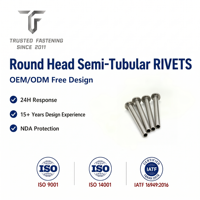 Rivets semi-tubulaires à tête ronde en laiton TianFang pour supports industriels et prototypes, finition nickelée, approvisionnement stable en lot