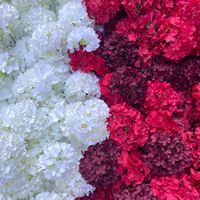 Mur de fleurs artificielles pour mariage, toile de fond enroulable 3D 5D 1*1m, panneau mural de fleurs blanches pour Noël