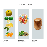 Huile parfumée Crearoma Luxury Tokyo Citrus pour diffuseurs d'arômes, parfum synthétique longue durée, fabrication directe, OEM/ODM
