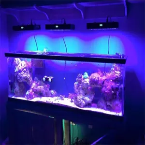 Zaoheung luz de aquário em led de 165w, lâmpada para aquário em led