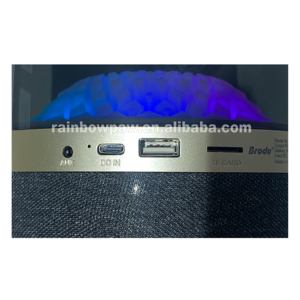 Altavoz Portátil BTS-2447 con Luces de Colores, Altavoz de Fiesta con Sonido Envolvente de 3 Pulgadas, Reproductor de Música con Bluetooth, USB, TF, MP3, Aux, TWS - Product Image 4