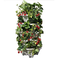 Fraise empilable en bois, jardinage Vertical pour l'intérieur et l'extérieur, herbes, fleur et légumes