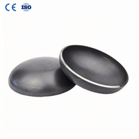 Capuchon d'extrémité de tuyau en acier au carbone 1/2"-12" SCH10/SCH20/SCH30/SCH40, surface peinte en noir, application huile haute pression, capuchon dôme