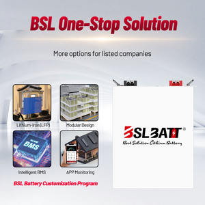 Batería de Montaje en Rack <span class=keywords><strong>BSLBATT</strong></span> de 5.12kwh, Batería de Iones de Litio de 48v 100ah - Product Image 3