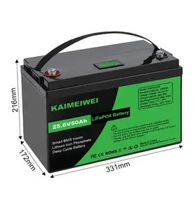 Miễn Phí Vận Chuyển Pin Xe Đẩy Golf Lifepo4 24 Volt 24 V 50amp Và 50ah 100ah Cho Động Cơ Câu Cá