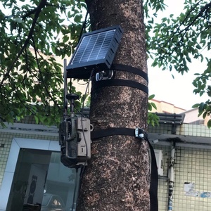 Power <span class=keywords><strong>Bank</strong></span> Solare Impermeabile IP66 con Batteria da 8000mAh per Fotocamera da Caccia e Sicurezza, Kit di Alimentazione Solare 6V 9V 12V - Product Image 5
