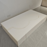 Coussin de canapé en mousse haute densité et haute résilience, personnalisé par le fabricant, pour usage extérieur (jardin, hôtel) et intérieur (salle de séjour), emballé sous vide