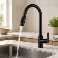 Robinet de cuisine en acier inoxydable 304 noir à double poignée avec cartouche céramique, mitigeur de comptoir avec filtre à eau extractible, vente en gros