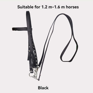 Conjunto de Cinto de Água para Gaiola de Cavalo, Arnês para Cavalo, Solução Conveniente Tudo-em-Um para Mastigação e Sela - Product Image 6