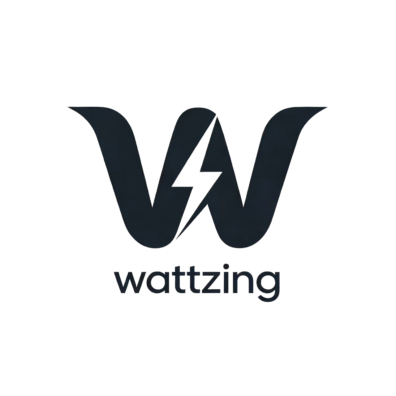 Shandong Wattzing New Energy Technology Co., Ltd. logo