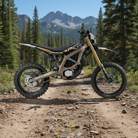 Auf Lager: 2026 Surron Ultra Bee Offroad E-Bike mit 74V 24,5kW Hochleistungs-60Ah-Akku