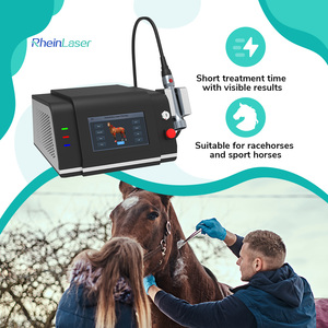 Máquina de Fisioterapia Láser Clase 4 de 10w-30w para <span class=keywords><strong>Veterinaria</strong></span>, 980nm 810nm, para Mascotas, Rehabilitación Quirúrgica Rápida - Product Image 3