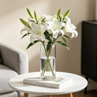 Vase en verre hydroponique cylindrique à petite ouverture, transparent, durable, artistique, fait main, pour décoration de mariage moderne et de maison