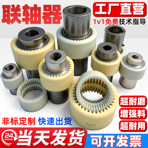 Acoplamientos NL: Colección Completa de Manguitos de Nylon, Acoplamientos Internos para Bombas de Aceite y Engranajes, Manguitos de Conexión y Bujes para Motores - Product Image 4