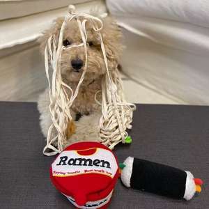 ของเล่นเคี้ยวสำหรับสัตว์เลี้ยง <span class=keywords><strong>MEISE</strong></span> TS07 รุ่นใหม่ รูปทรงถ้วยบะหมี่กึ่งสำเร็จรูป ทำจากวัสดุปลอดภัยต่อสิ่งแวดล้อม สีแดง สำหรับสุนัข - Product Image 3