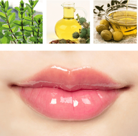 Groothandel OEM/ODM Vegan Natuurlijke Biologische Hydraterende Herstellende Lip Exfoliërende Vloeibare Lippenbalsem Meerdere Kleuren Reisset Fruit Smaak Lip Olie