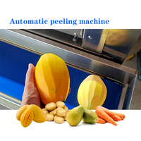 2000 Kg/u Industriële Mango Schilmachine Volautomatische Intelligente Fruit-En Groenteschilmachine