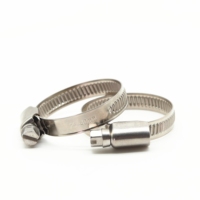 High Quality Factory Supply Germany Type SS304 Material Heavy Duty Hose Clamp for Mining/Healthcare/General Industry Use