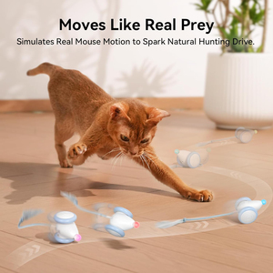Nouveau jouet interactif électrique pour chat, souris amusante en PVC, jouet d'intérieur pour chat, écologique, style sport moderne - Product Image 3
