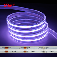 Bande lumineuse LED COB à économie d'énergie, étanche IP67, tube en silicone flexible, largeur 12 mm, 720 LED/m, IRC>90, PCB en cuivre étamé 3oz