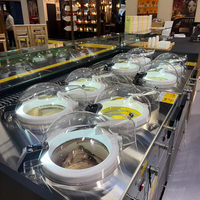 MILES Vente directe d'usine Vente à chaud Pro V4 Barre avant Économe en énergie Équipement écologique Machine à crème glacée Gelato