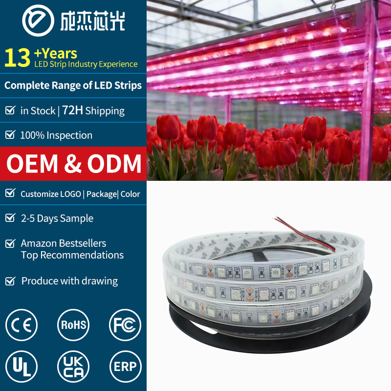 60LEDs M 12V 5050 Plant Grow