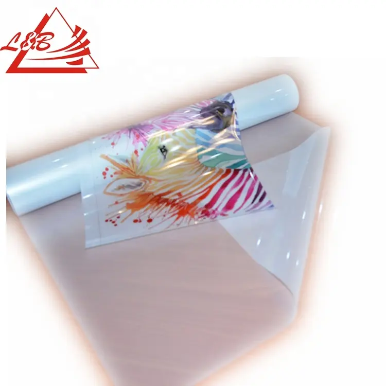 Impresión de inyección de tinta Digital ecosolvente, película de vinilo autoadhesiva transparente de PVC para señalización de ventana, pegatinas