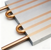 Plaque de refroidissement liquide en aluminium avec tube de cuivre intégré pour dissipateur de chaleur de chargeur de batterie de véhicule électrique à énergie nouvelle et onduleur