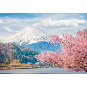 Japón <span class=keywords><strong>Monte</strong></span> <span class=keywords><strong>Fuji</strong></span> Sakura vista 3D pelar y pegar papel tapiz para <span class=keywords><strong>restaurante</strong></span> - Product Image 6