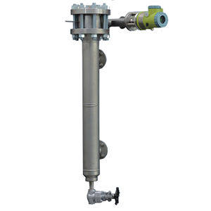 Transmisor de Flotabilidad Schneider FOXBORO 244LD OEM, Medidor Digital de Nivel de Líquido y Densidad, Dispositivo de Medición por Desplazamiento SIL2, Protección IP66 - Product Image 2