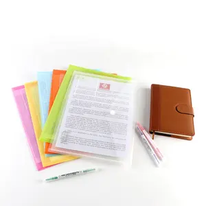 Office Rainbow Color A4 Size PP Plastic File Document Bag School Products