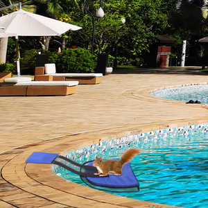 ตาข่ายกู้สัตว์ในสระว่ายน้ำ สีฟ้า แบบพกพา สำหรับกู้กบและนก เพื่อความปลอดภัยทางน้ำ - Product Image 1