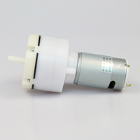 Pompe à vide pour massage du sein, produit de qualité supérieure, DC 12V/24V