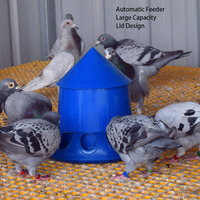 Mangeoire automatique anti-déversement pour volailles, mangeoire automatique pour poussins, pigeons, cailles, seau d'alimentation sans gaspillage, mangeoire en plastique pour ferme