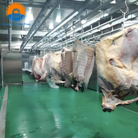 Ligne d'abattage de bovins halal, équipement d'abattage complet en acier inoxydable automatique pour abattoir de bovins, solution clé en main