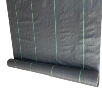 Géotextile tissé en PP stabilisé aux UV, couverture de sol agricole, tapis anti-herbe pour le contrôle des mauvaises herbes, rouleau de tissu noir pour les plantes