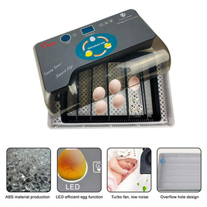 Incubateur intelligent 40W pour 12 œufs de canaris, cailles, oiseaux et reptiles - Product Image 6