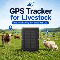 Rastreador GPS Beidou LBS 4G Celular Solar, Resistente al Agua IP67, Sin SIM, Mini Cápsula para Ovejas, Sistema de Rastreo Animal para Ganado