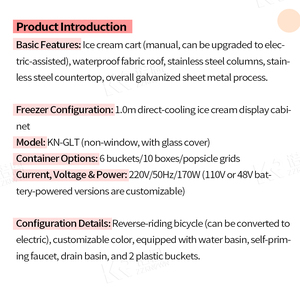 Congelador Comercial para Helados con Vitrina, Carrito Móvil para Helados y Gelato para Venta en Mercados al Aire Libre y Catering - Product Image 4