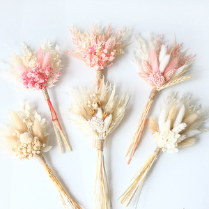 Juego de Colas de Conejo de <span class=keywords><strong>Pampas</strong></span> Ecológicas de 23 cm para Decoración del Hogar Estilo Boho <span class=keywords><strong>Chic</strong></span>, Aniversarios y Fiestas - Product Image 2