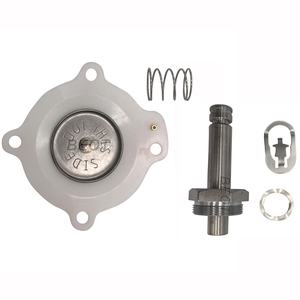 C113-444 C113444 Membraanmembraan Pilotset Voor Scg353a043 Scg353a044 G353a041 G353a041 G353a042 1 "Pulskleppen - Product Image 1