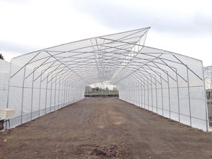 Grande serre <span class=keywords><strong>de</strong></span> haute qualité <span class=keywords><strong>pour</strong></span> les zones chaudes PE matériel toit fenêtre système <span class=keywords><strong>de</strong></span> refroidissement Double <span class=keywords><strong>pour</strong></span> la culture <span class=keywords><strong>de</strong></span> tomates fraises - Product Image 5